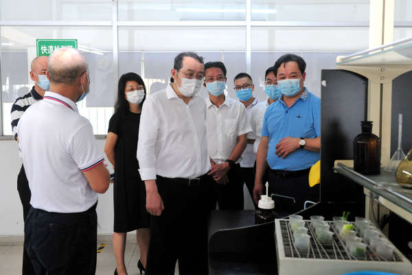 市委常委、宣传部长、南山区委书记王强同志到南山农产品批发市场开展疫情防控创文工作督导检查.jpg