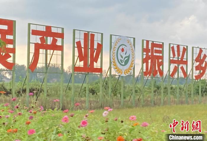 发展产业 振兴乡村 王亚鹏 摄 发展产业 振兴乡村 王亚鹏 摄